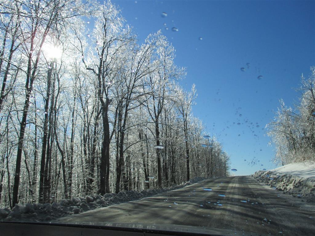 Photo by Marie Bartlett